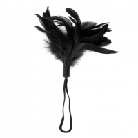 Plumero negro